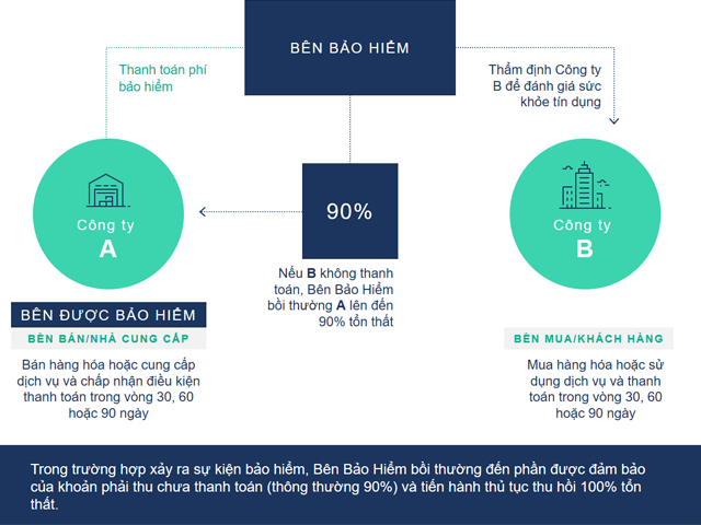 Bảo hiểm tín dụng thương mại hoạt động như thế nào